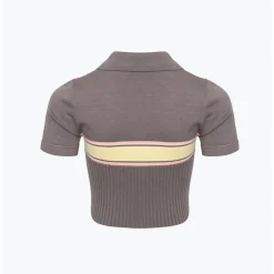 Ann Andelman Color Blocked Logo Knitted Short Polo Top Brown