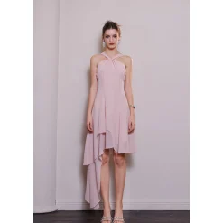 Diana Vevina Asymmetrical Hem Halter Long Dress Pink